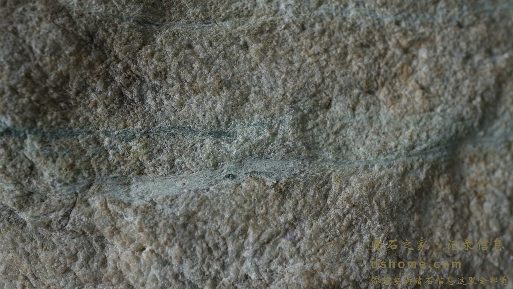 DSC02358.JPG