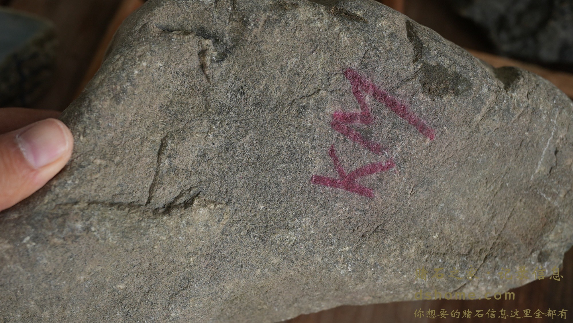 DSC02442.JPG