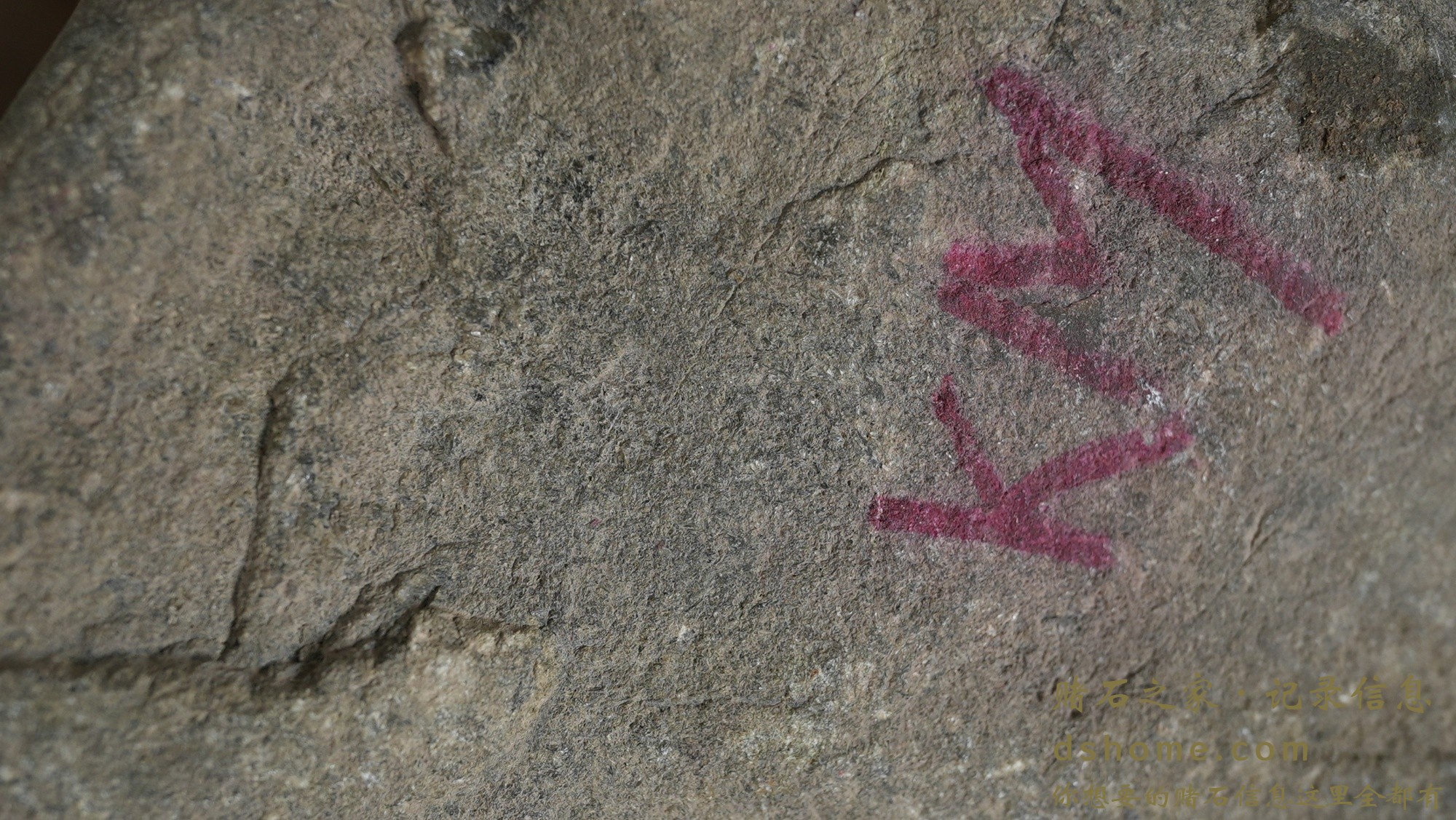 DSC02443.JPG