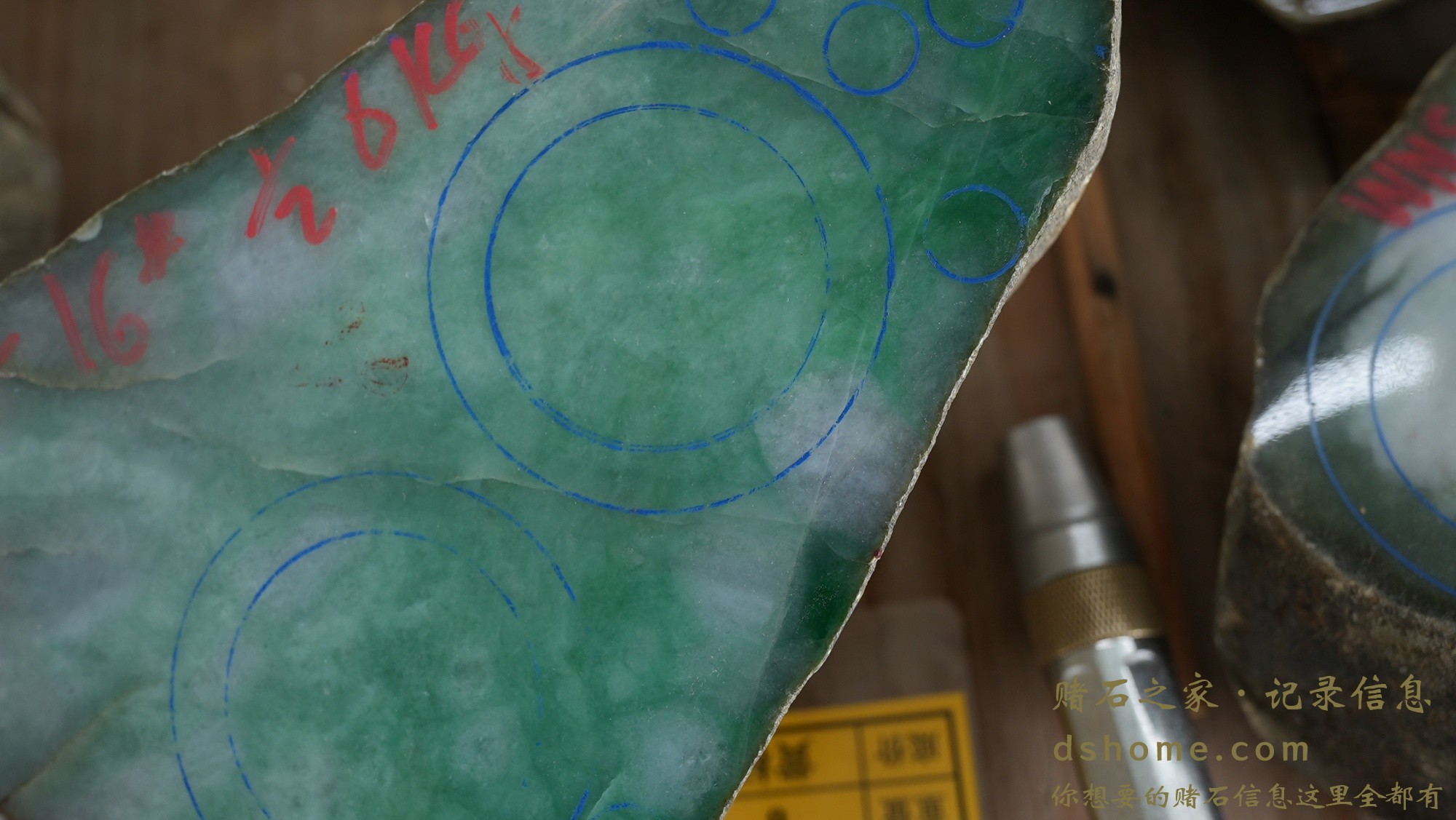 DSC02452.JPG