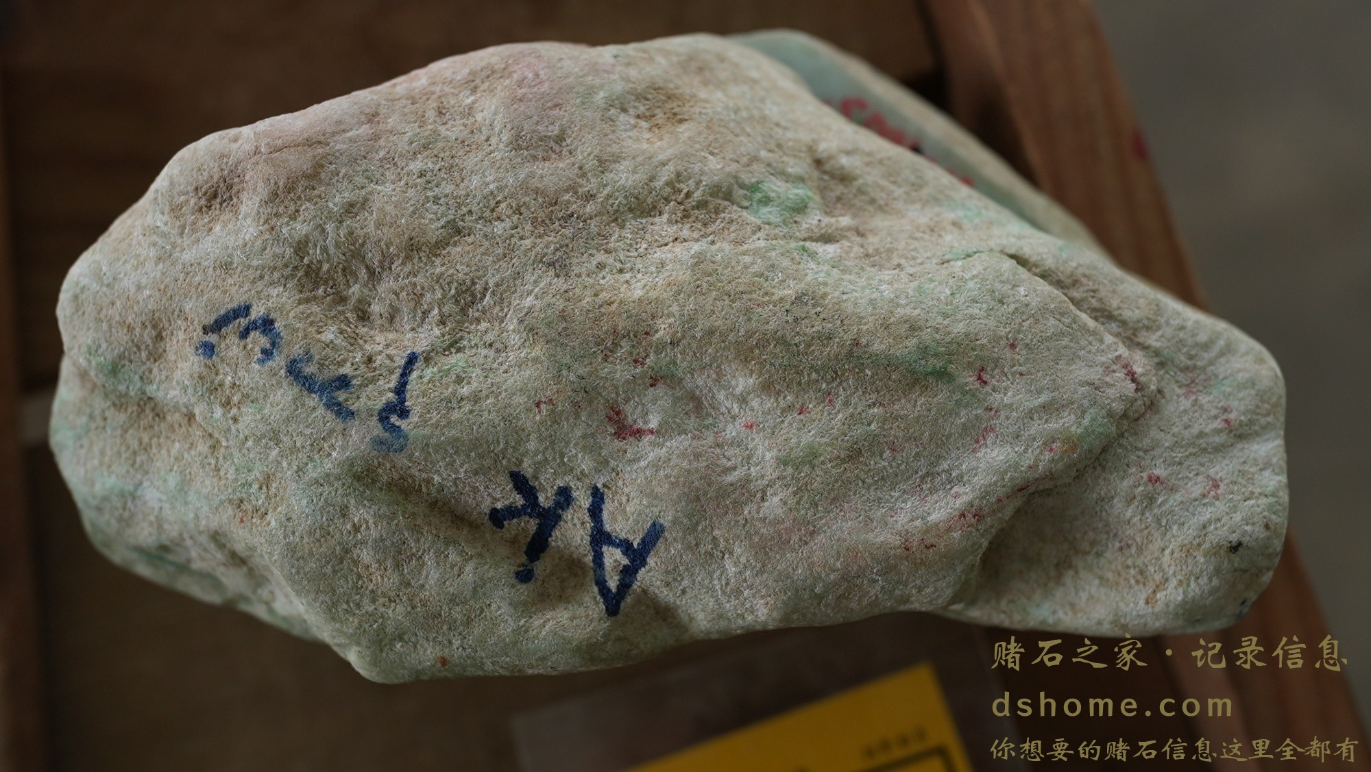 DSC02486.JPG