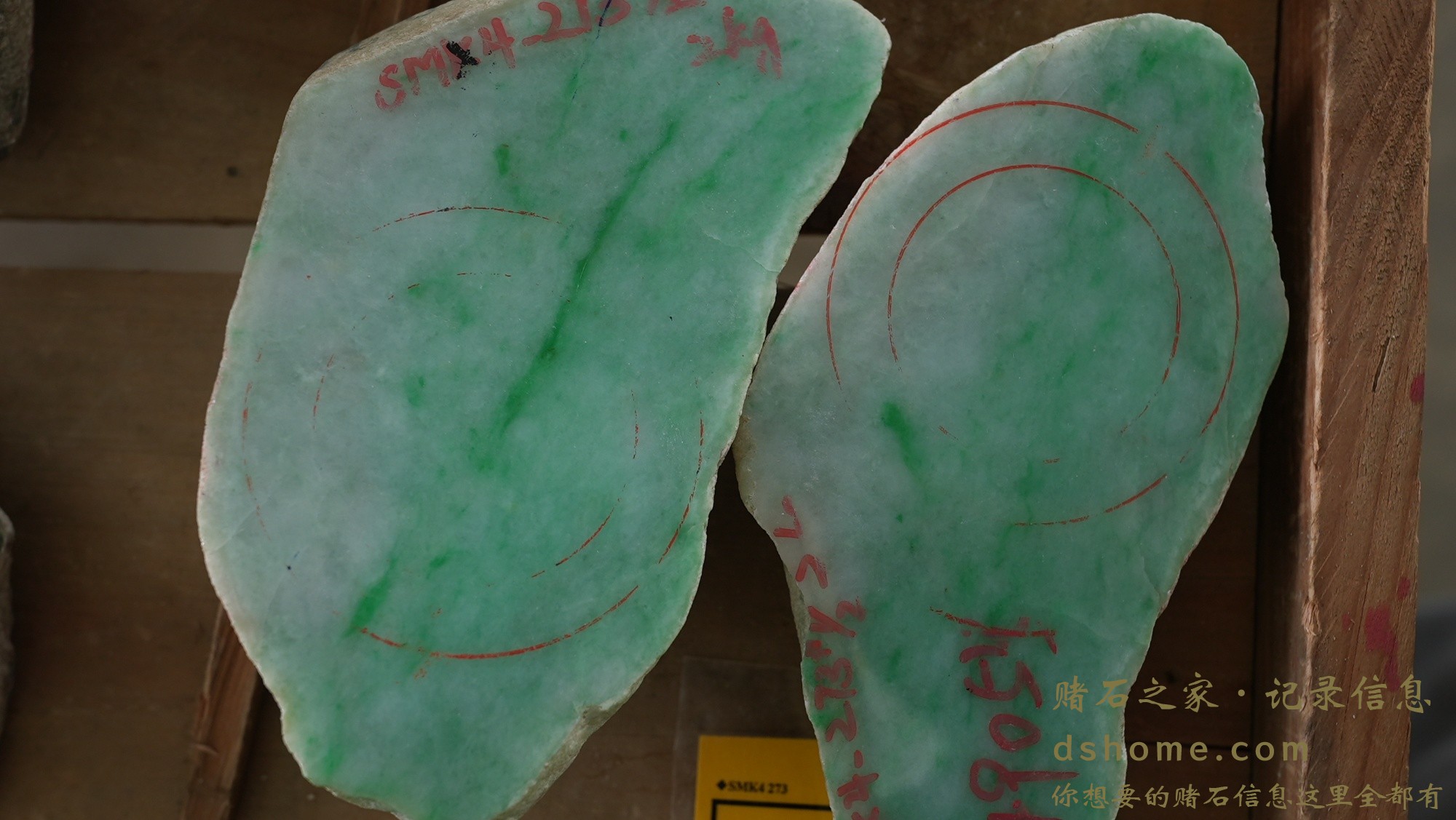 DSC02495.JPG