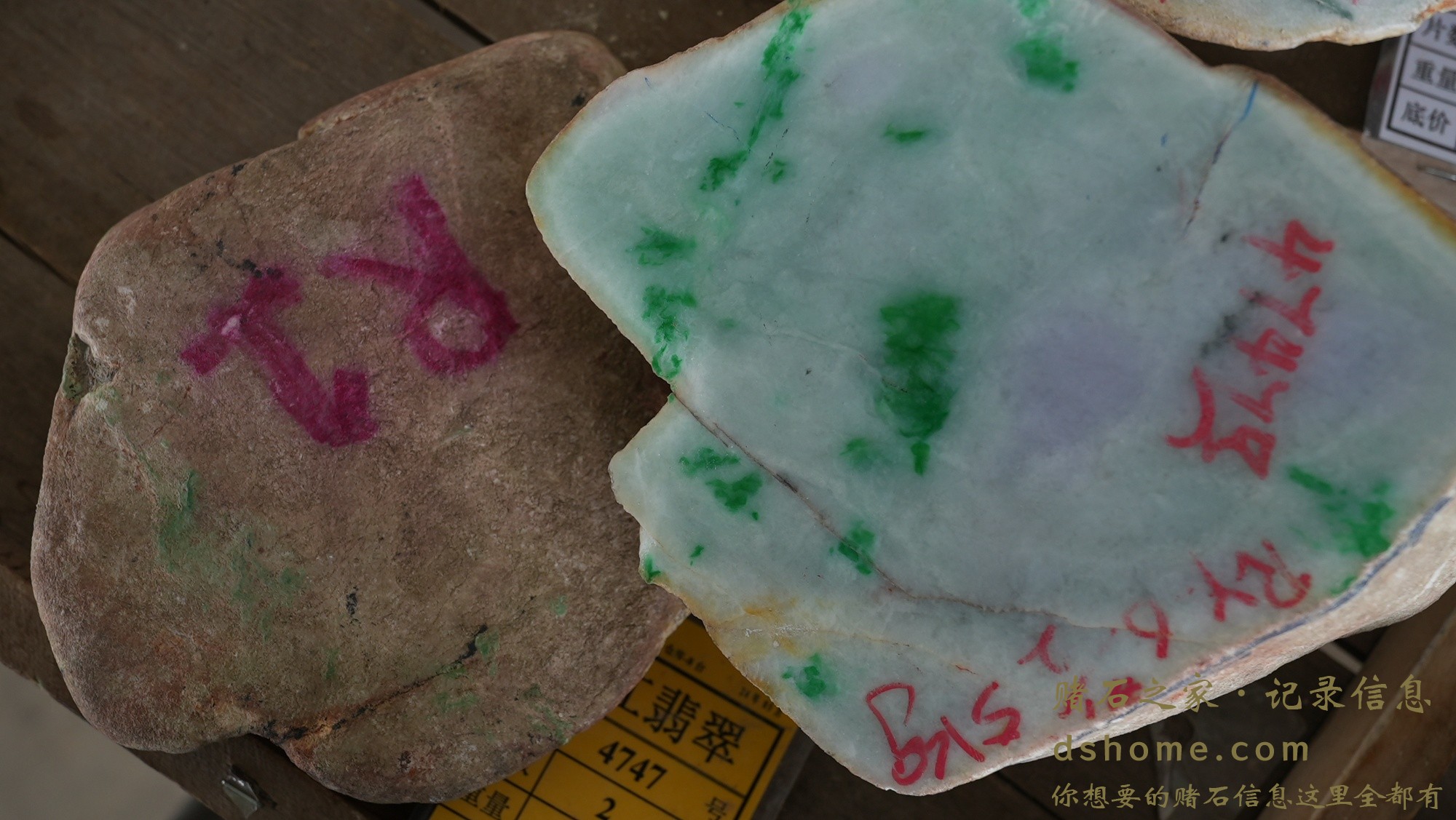 DSC02528.JPG