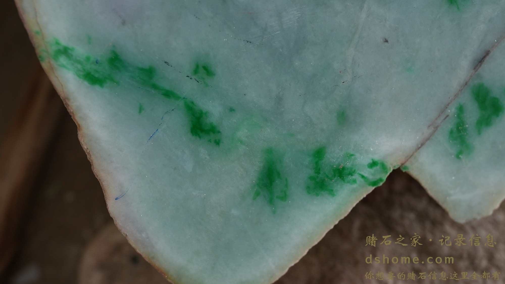 DSC02532.JPG