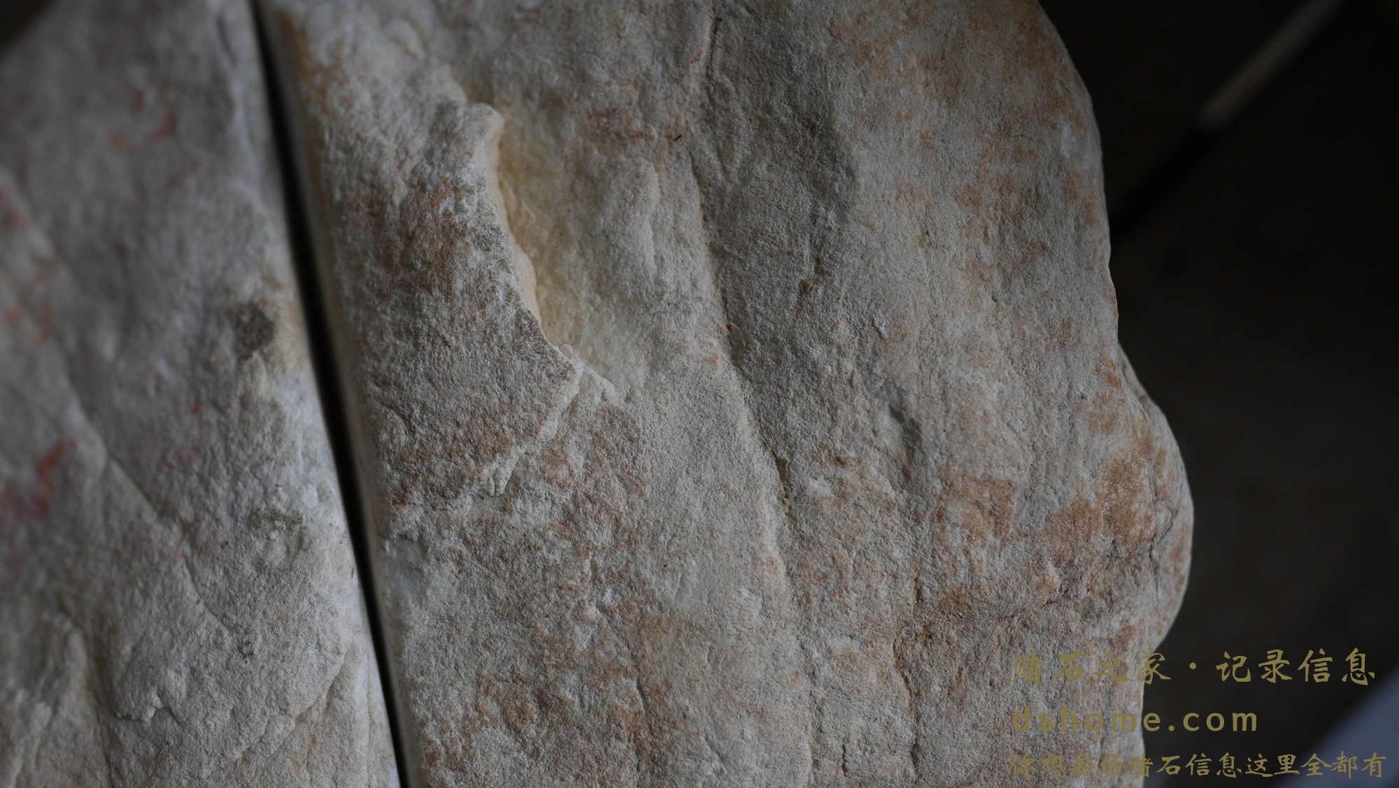 DSC02652.JPG