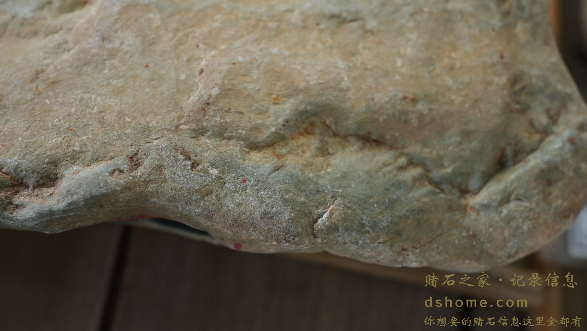 DSC02838.JPG
