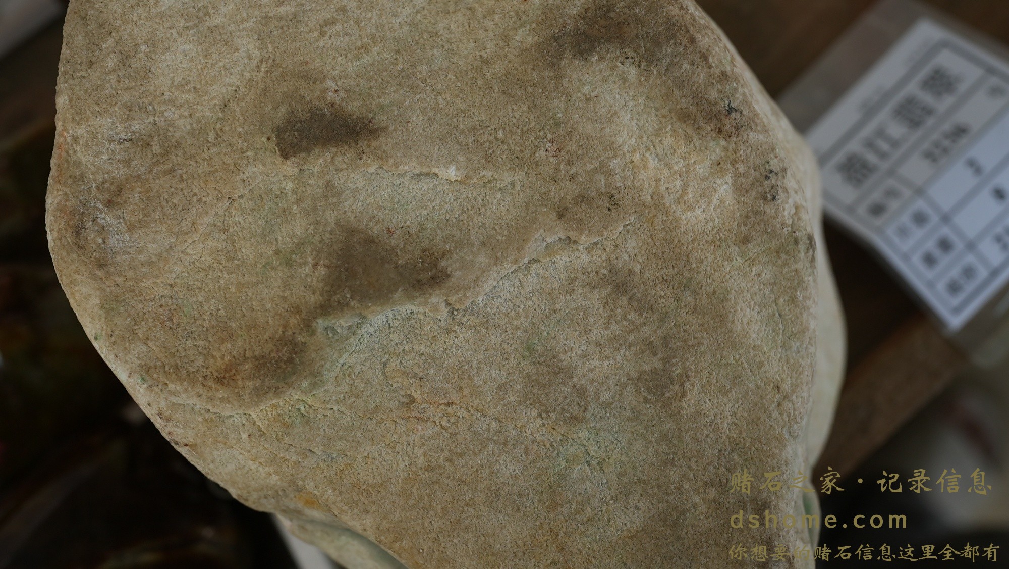 DSC02872.JPG