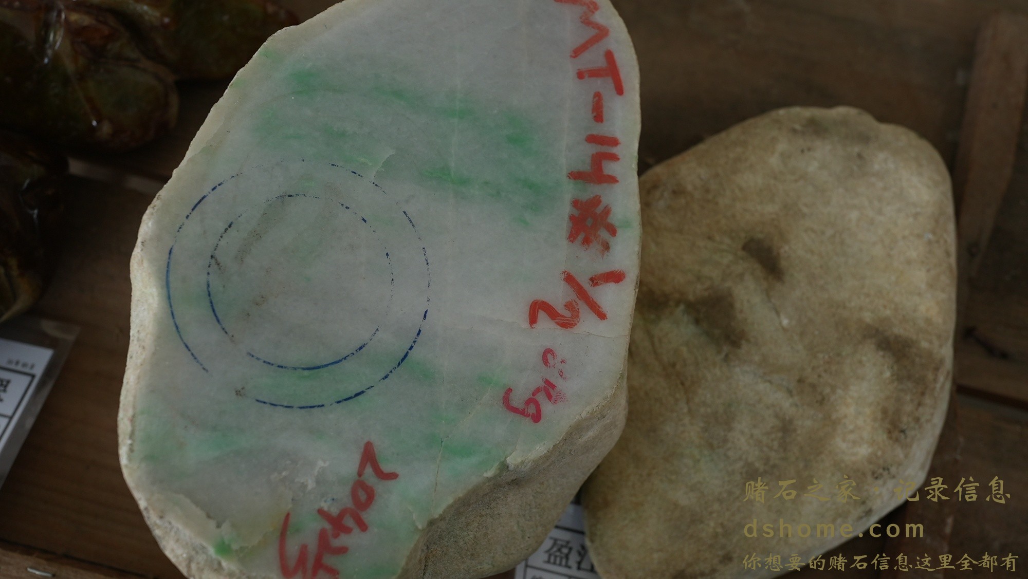 DSC02879.JPG