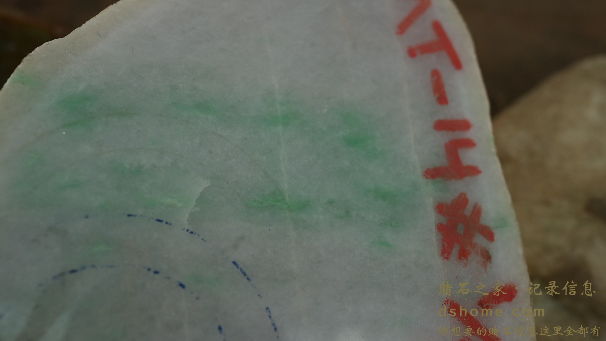 DSC02880.JPG