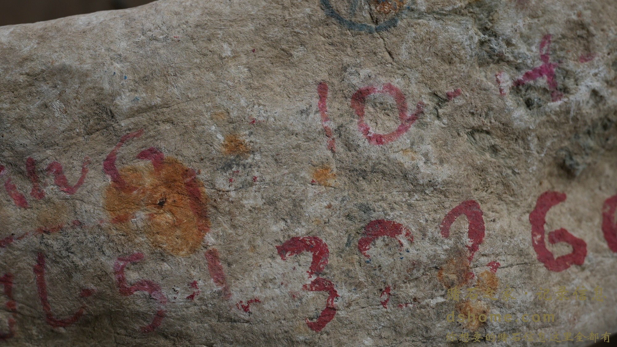 DSC02922.JPG