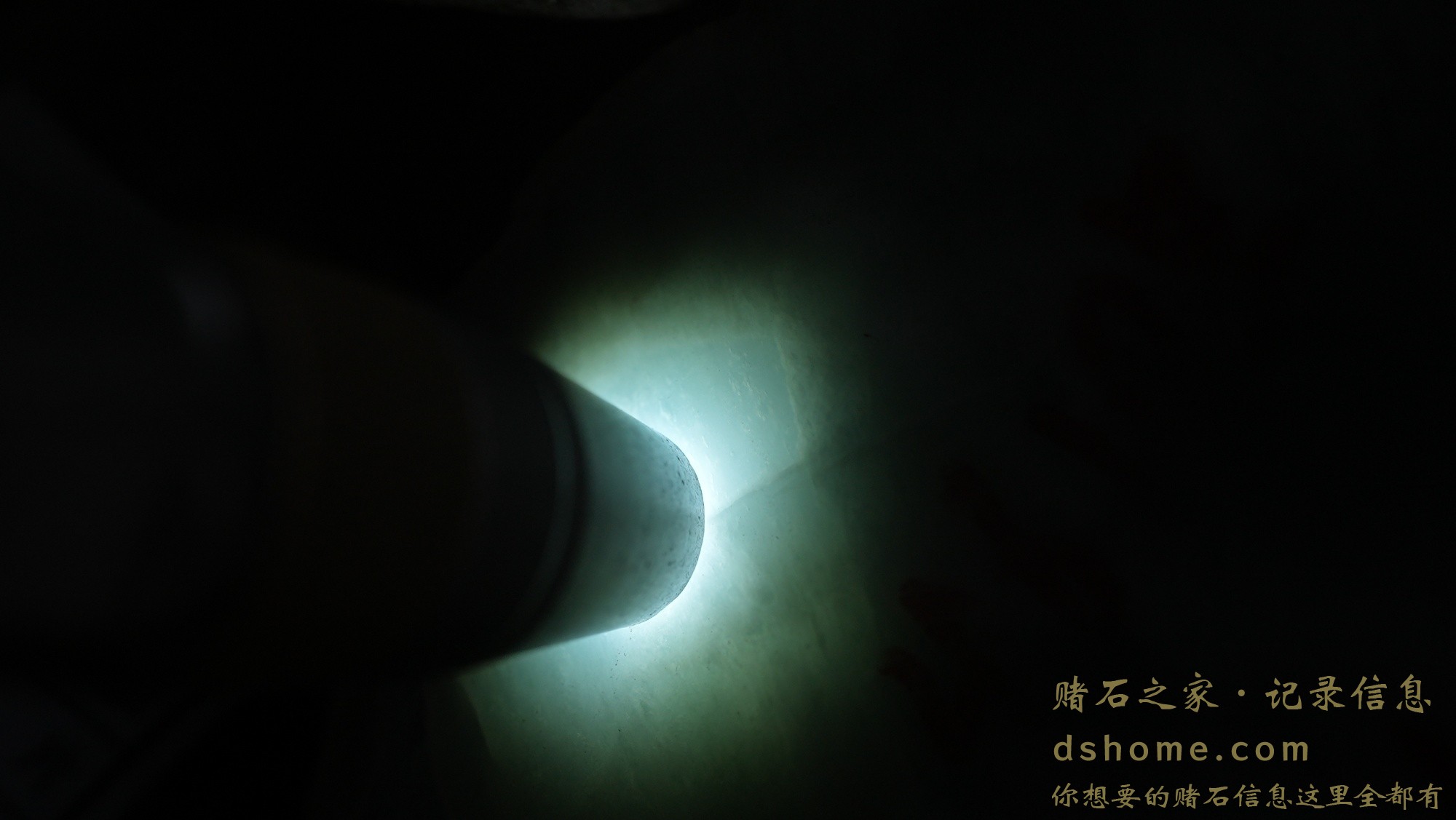 DSC02950.JPG