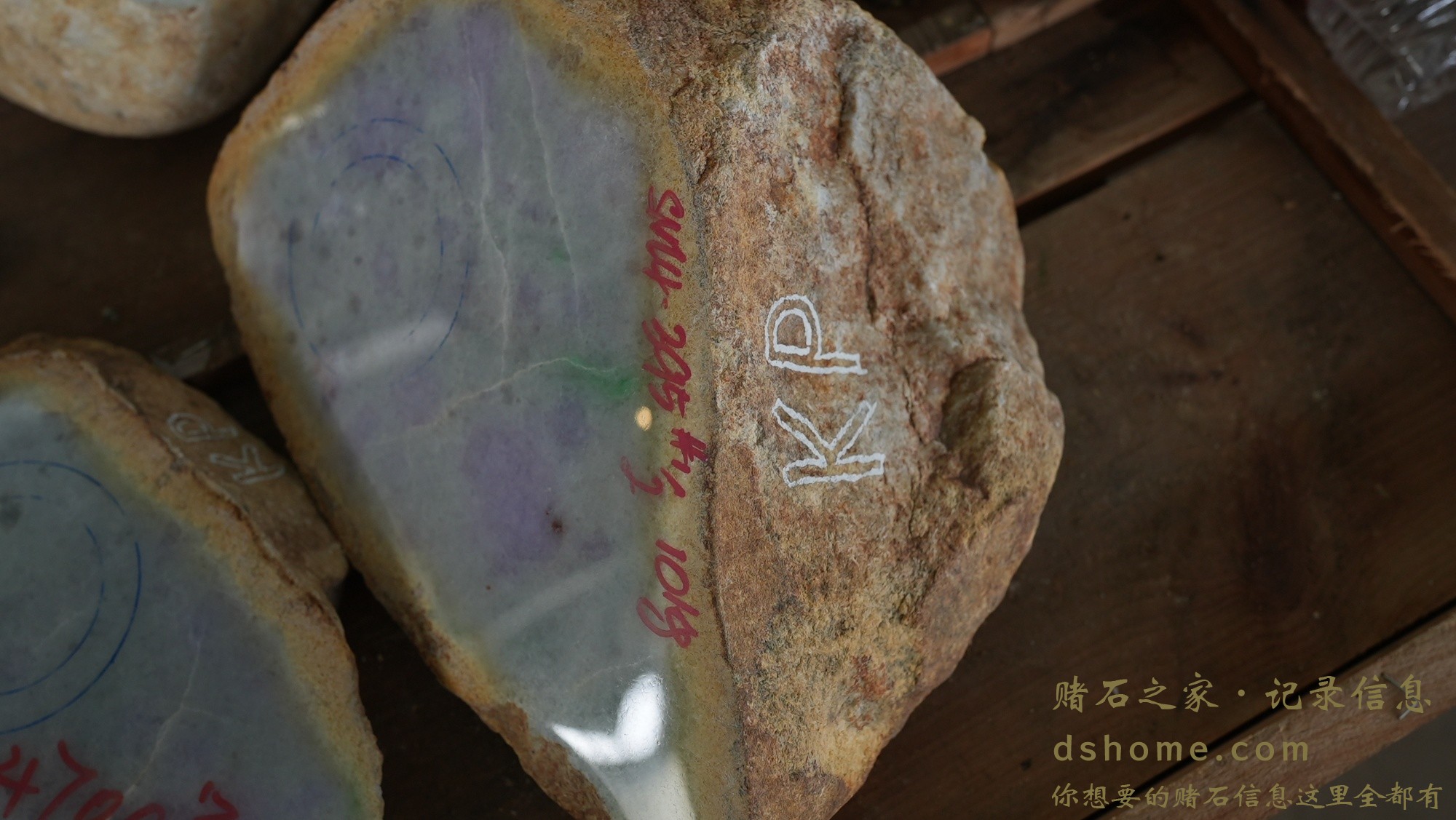 DSC03131.JPG