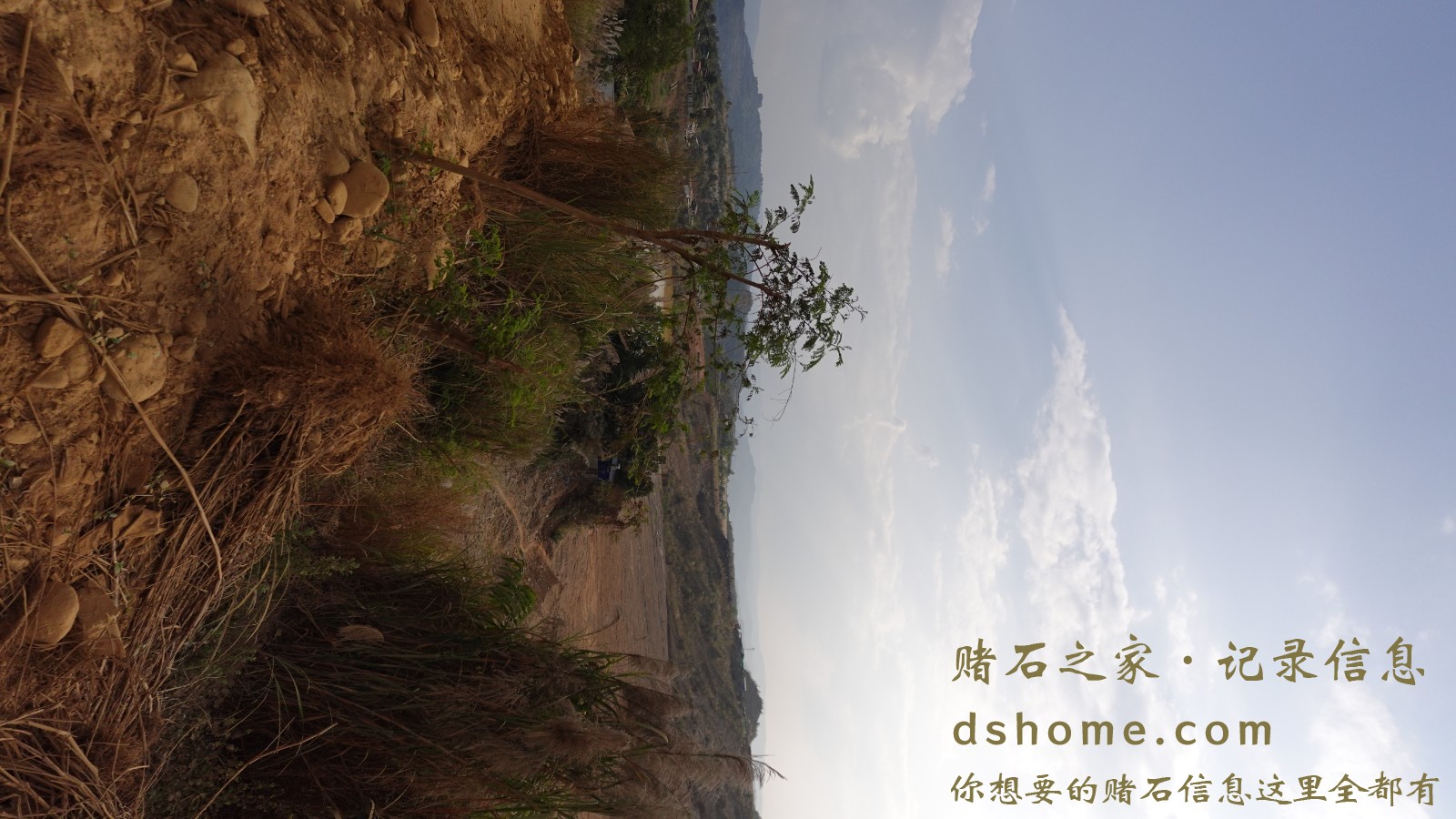 DSC00116.JPG
