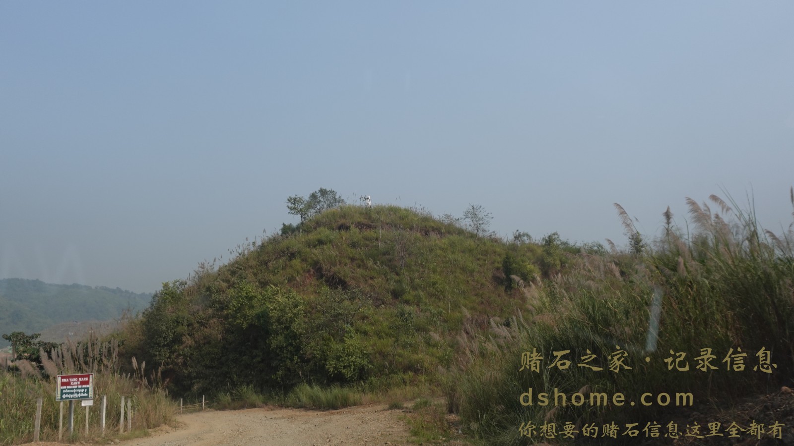 DSC00285.JPG