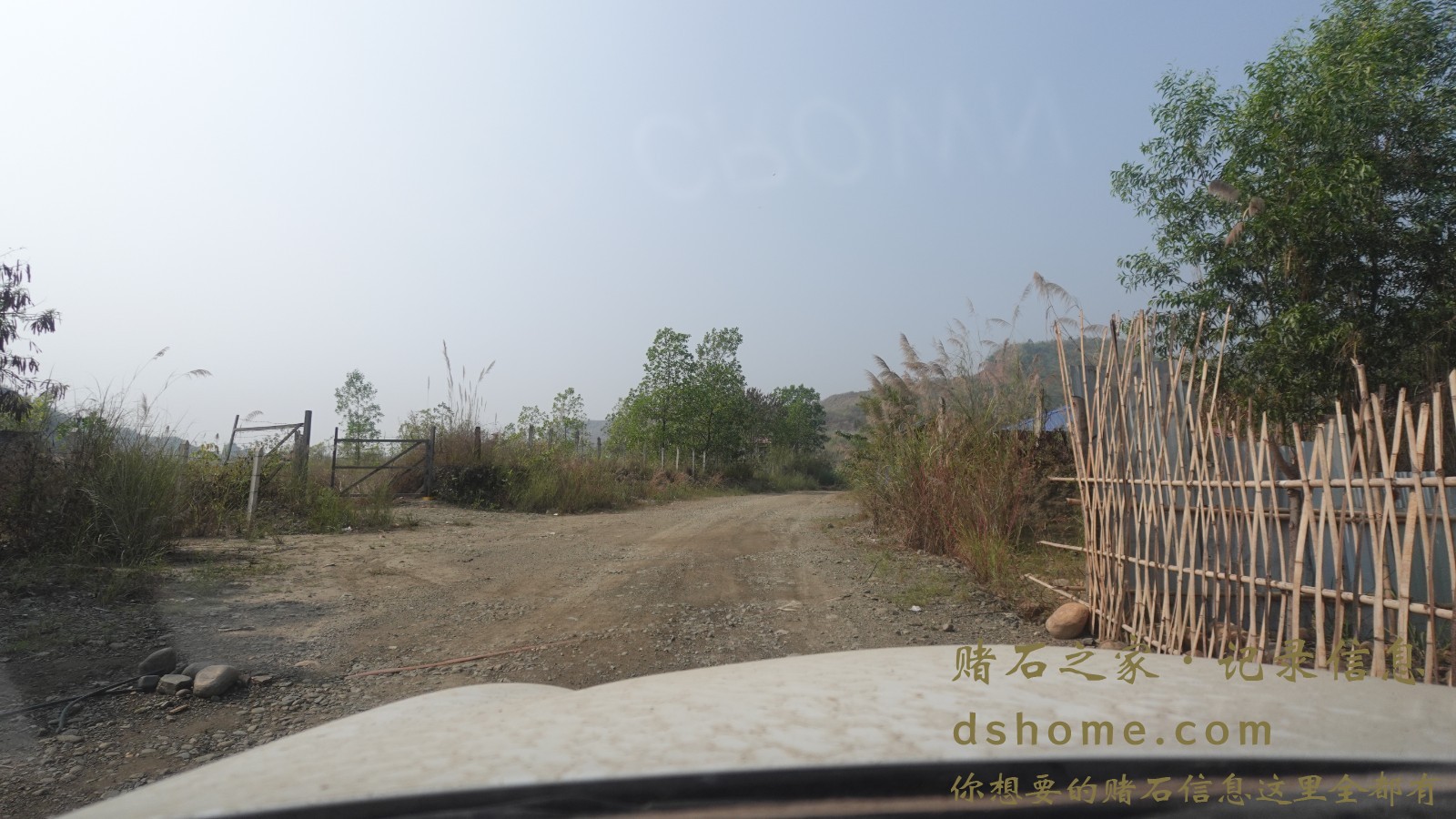 DSC00294.JPG