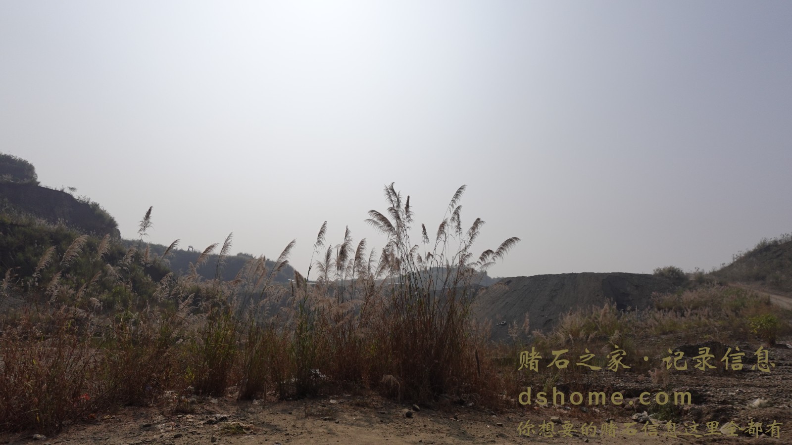 DSC00300.JPG