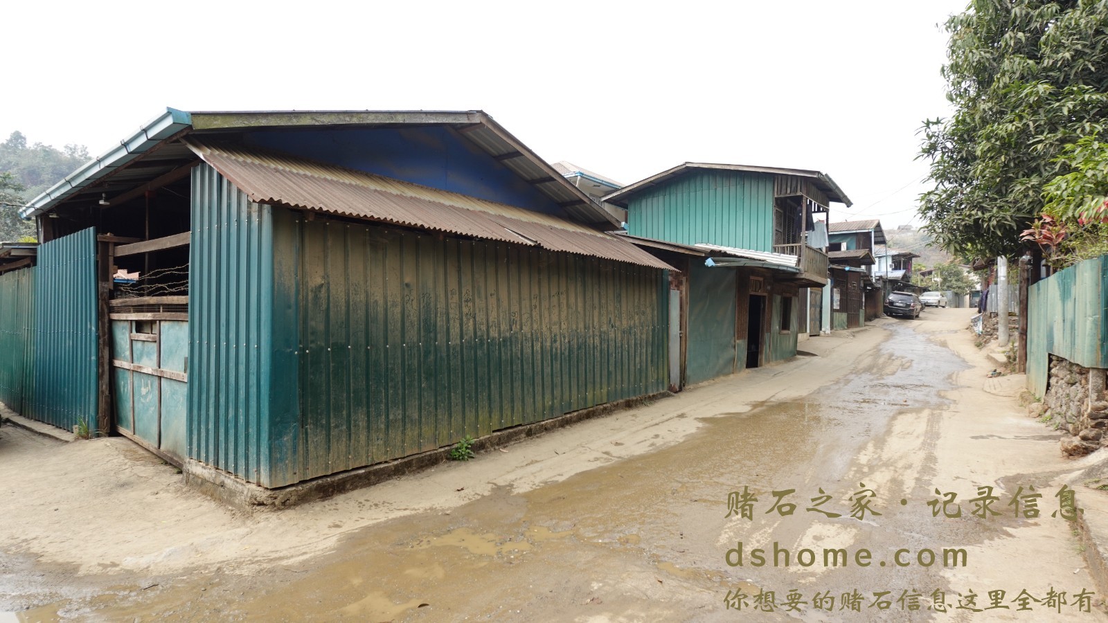 DSC00456.JPG