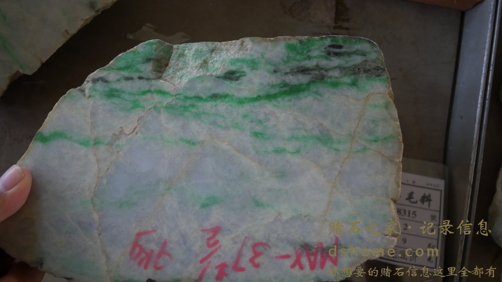 P1000510.JPG