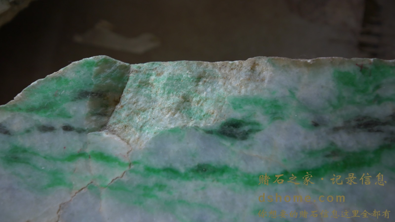 P1000511.JPG