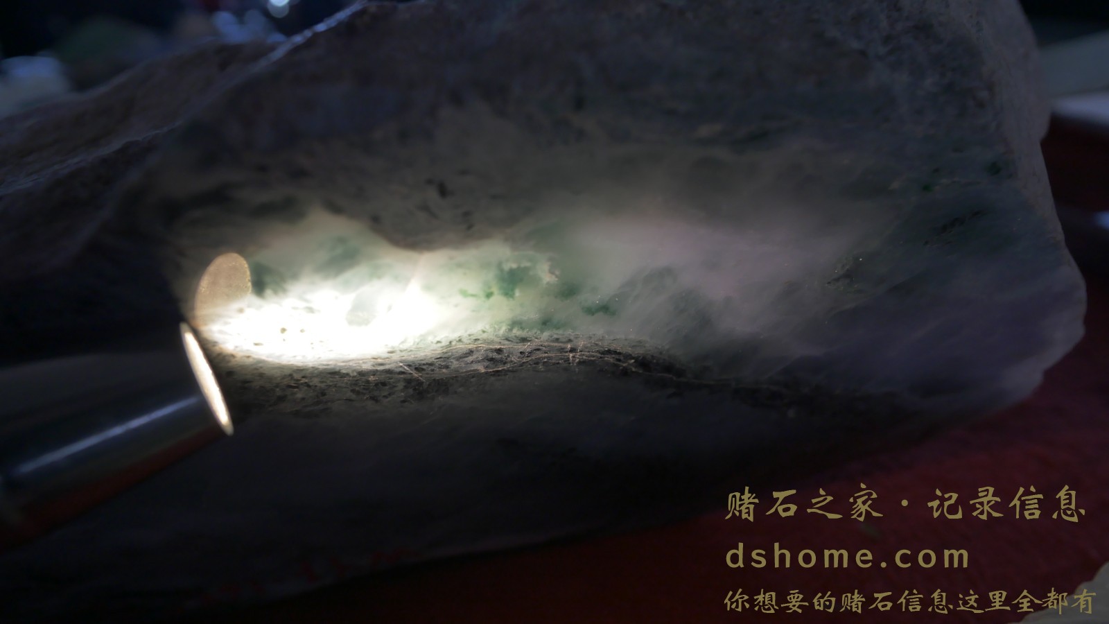 P1000724.JPG