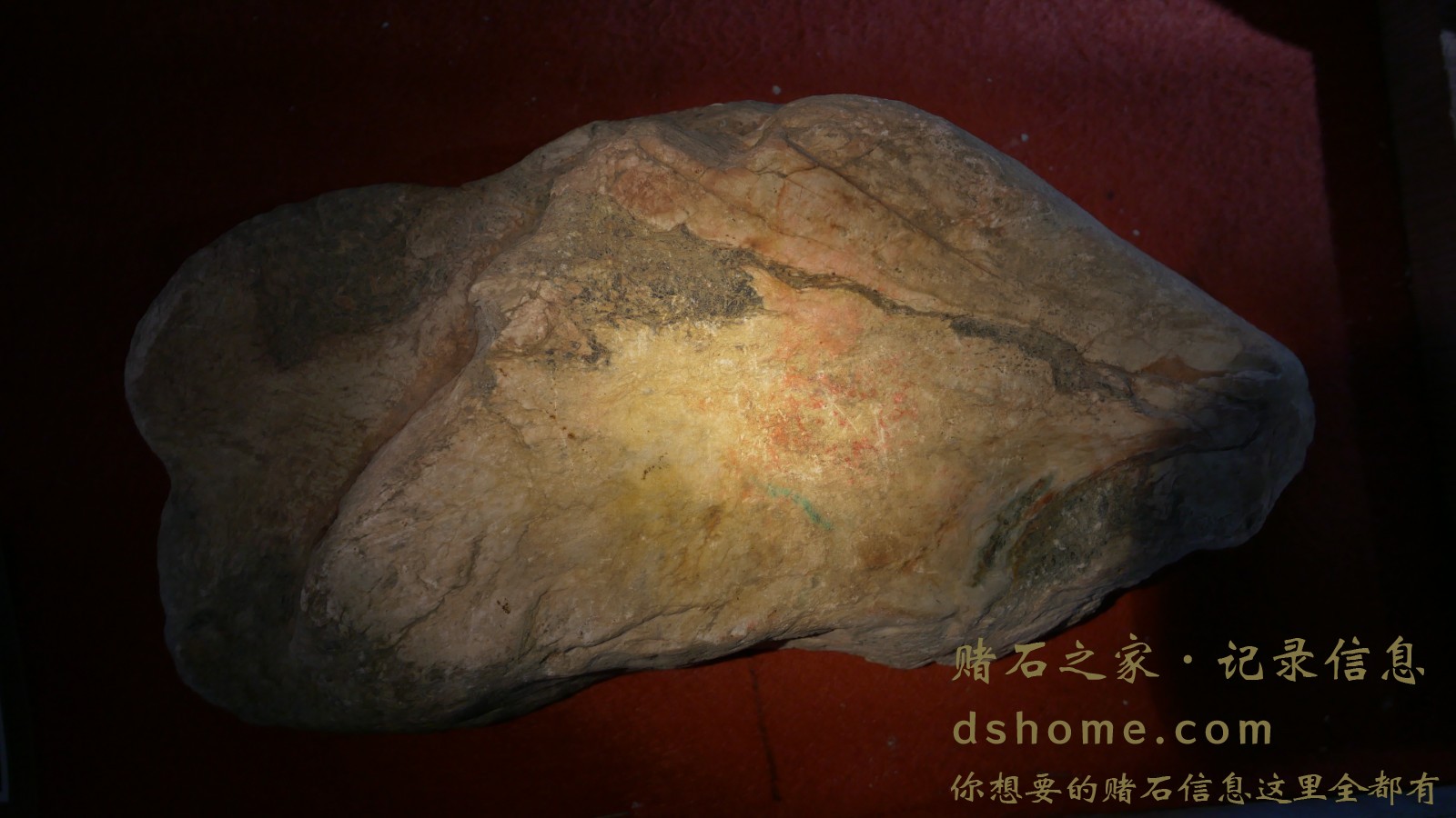 P1000730.JPG