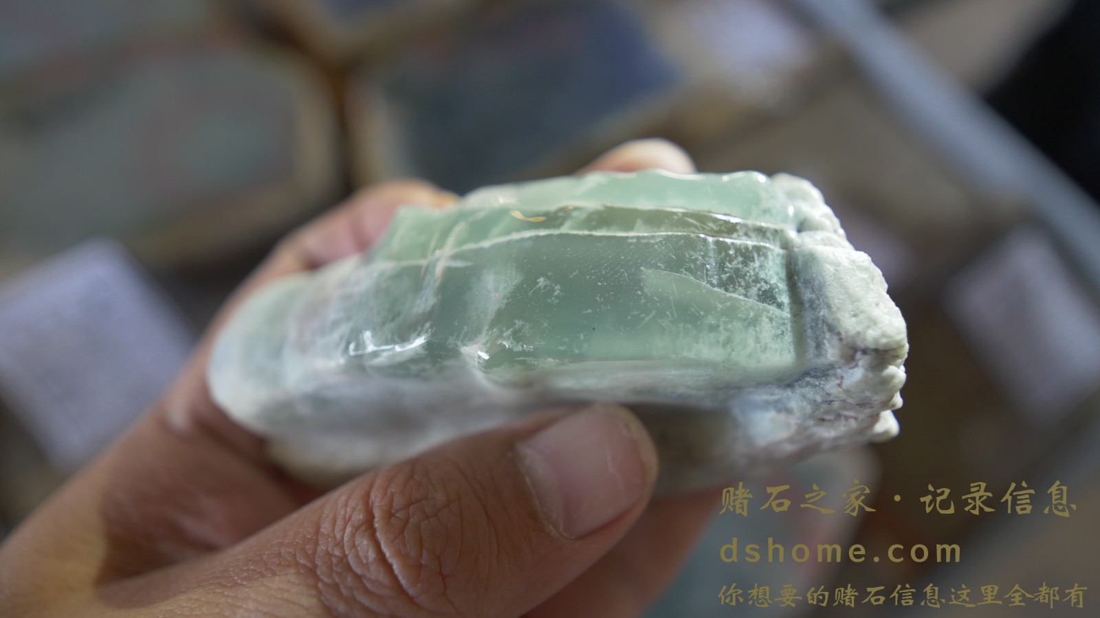 P1000811.JPG