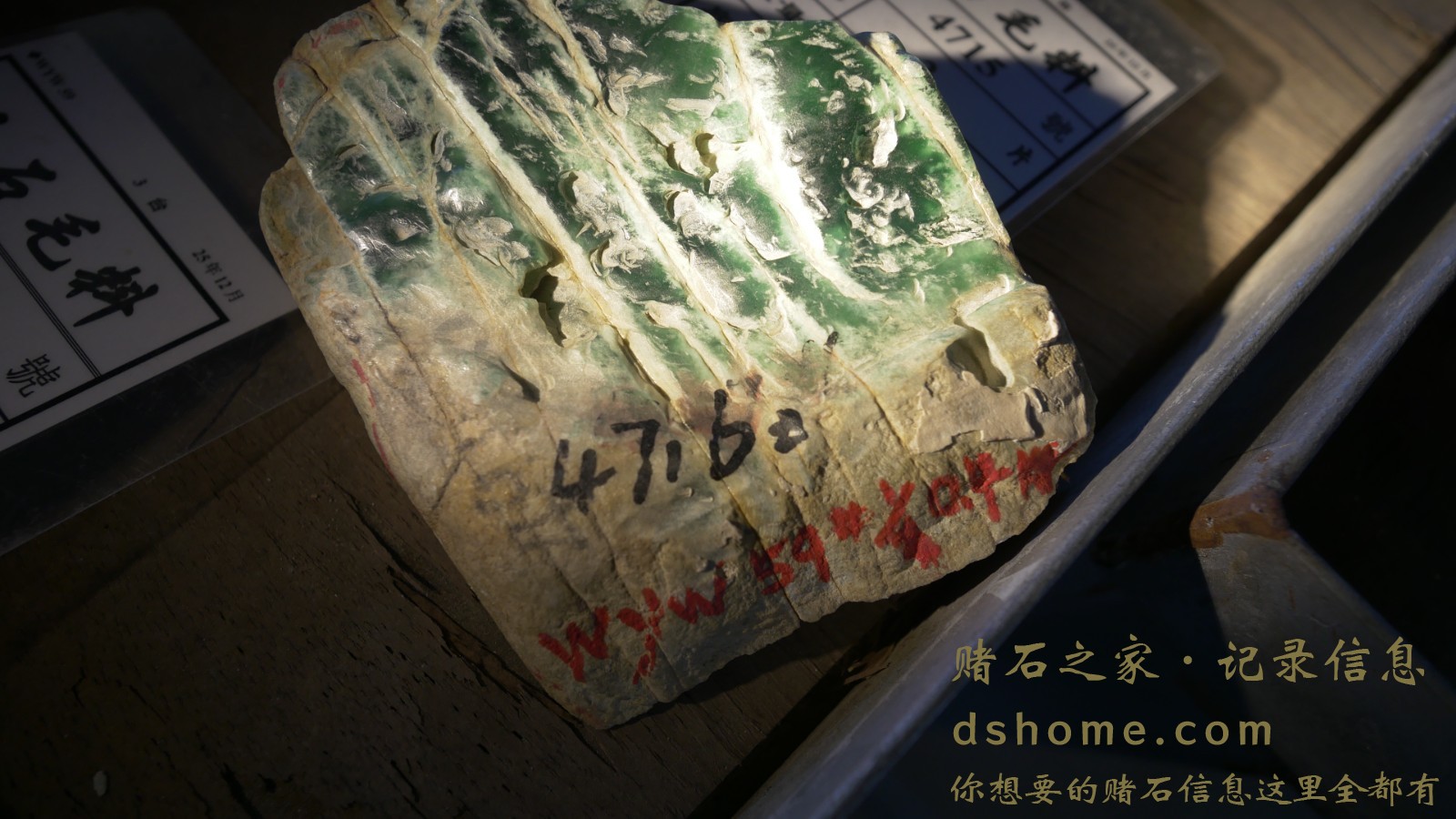 P1000823.JPG