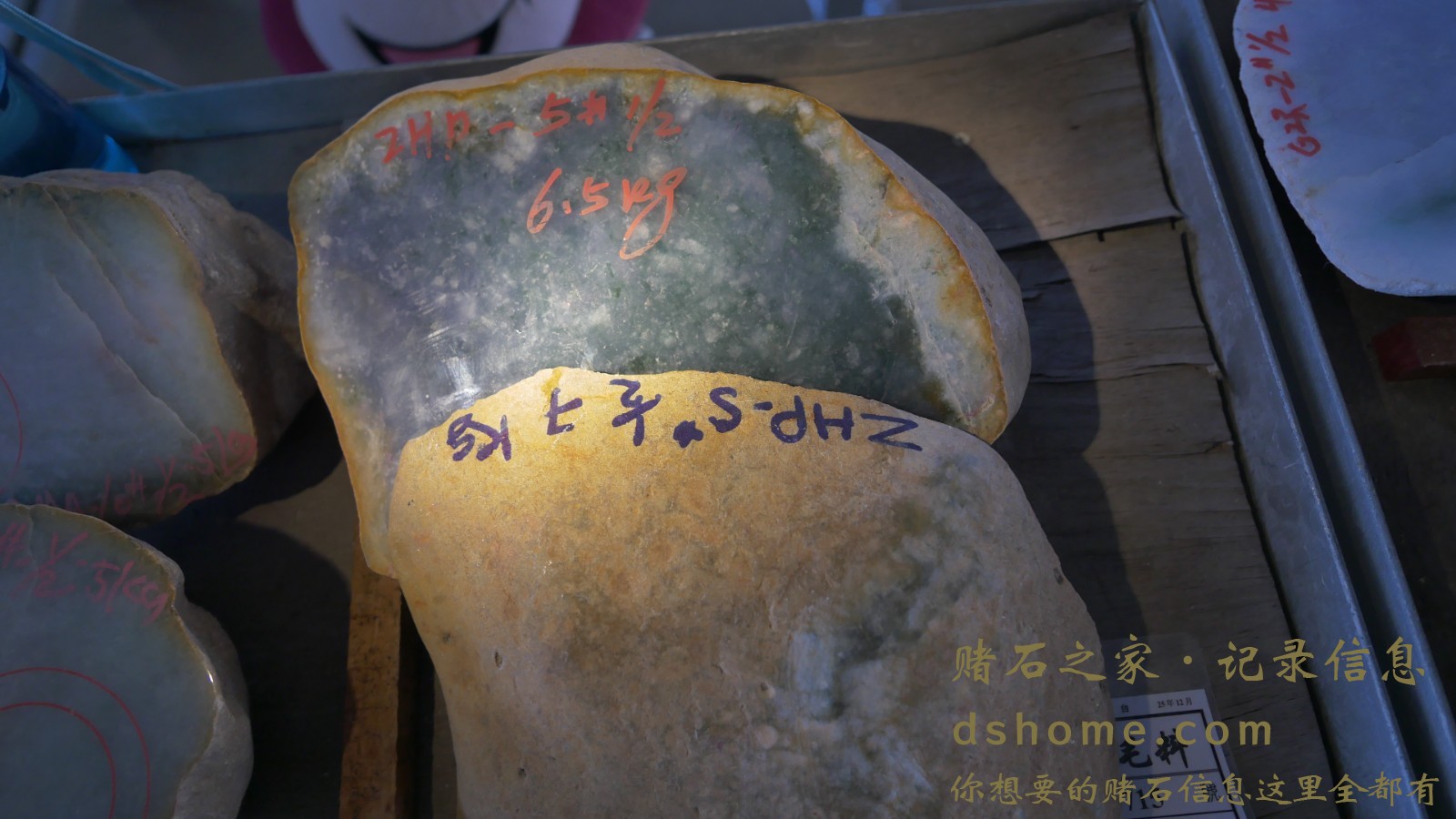 P1000843.JPG
