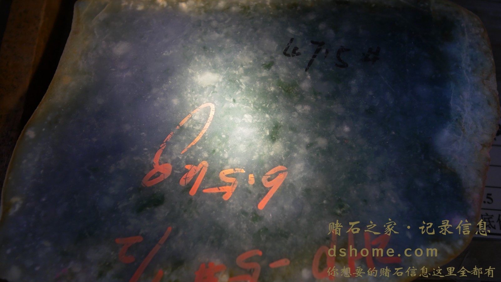 P1000853.JPG