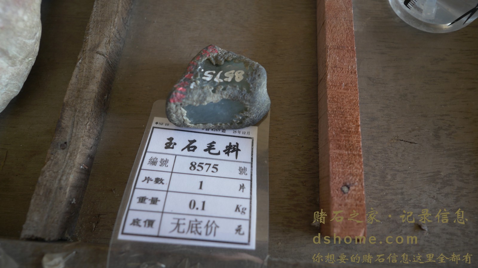 P1011223.JPG