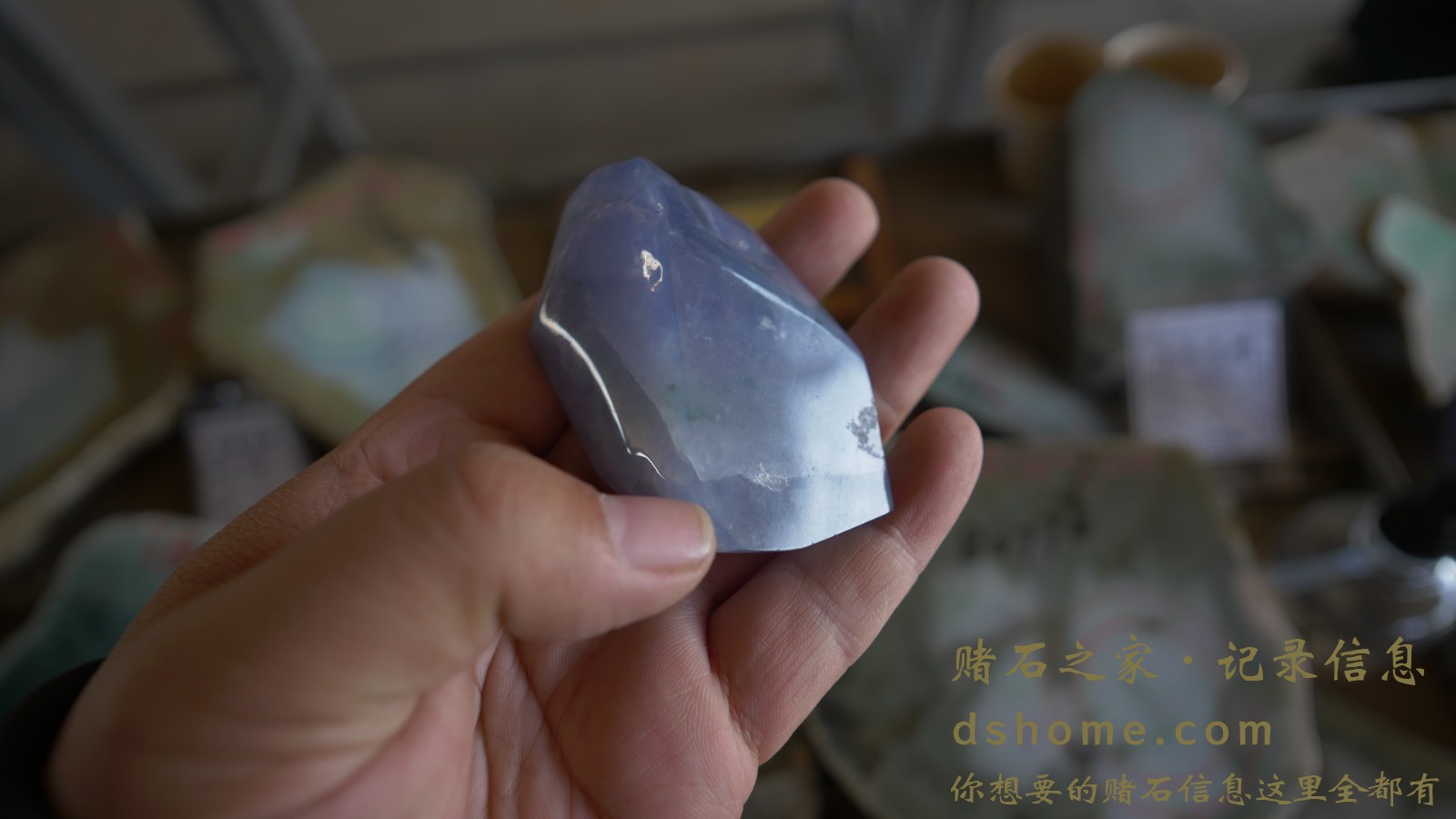 P1011243.JPG