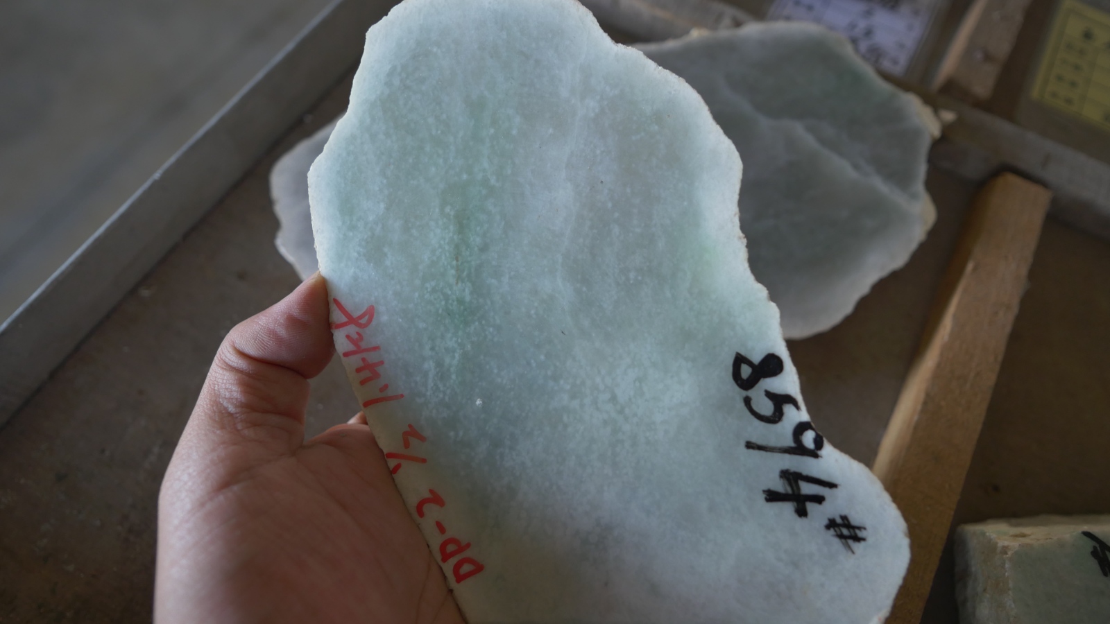P1000419.JPG