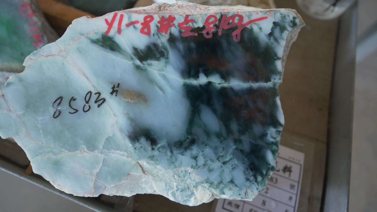 P1000430.JPG