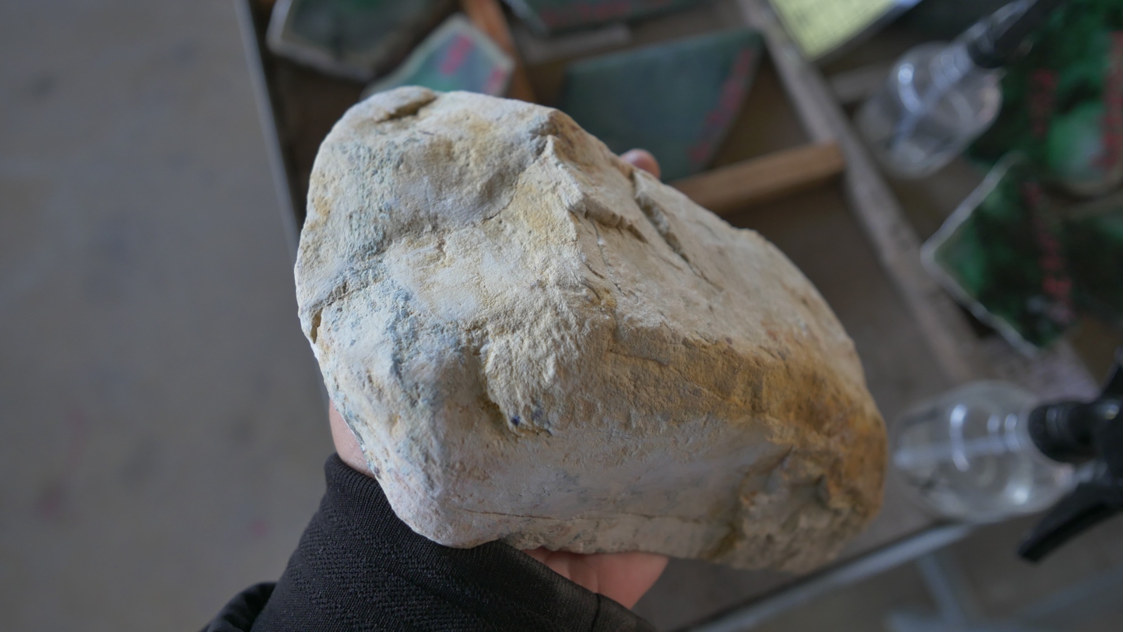 P1000447.JPG