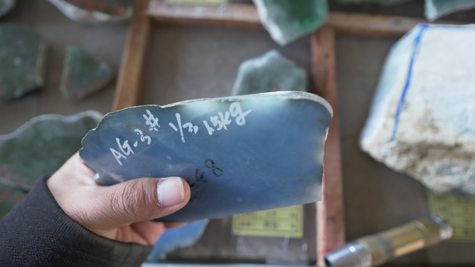 P1000469.JPG