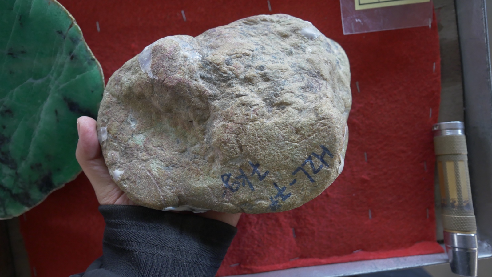 P1000581.JPG