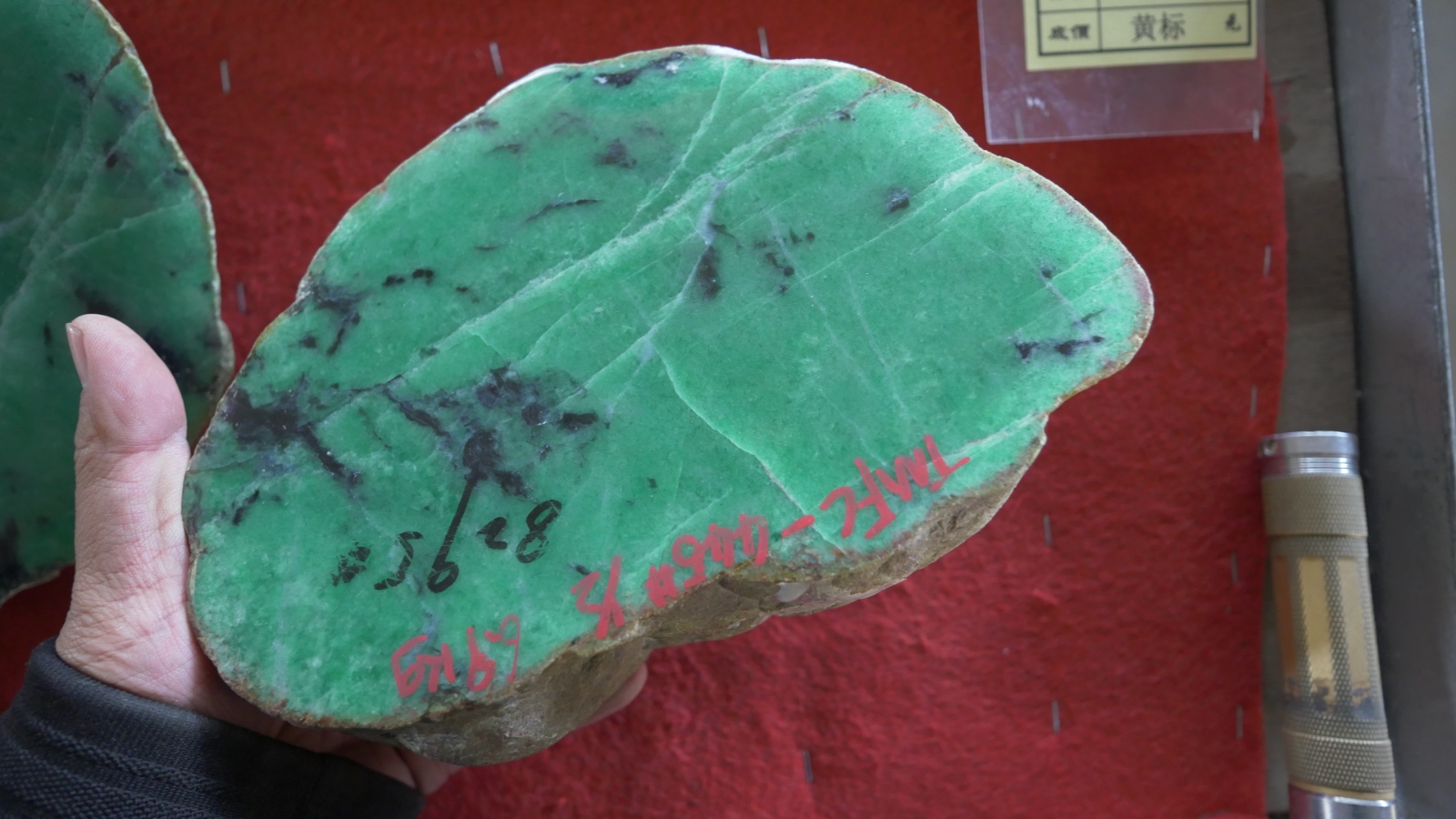 P1000586.JPG