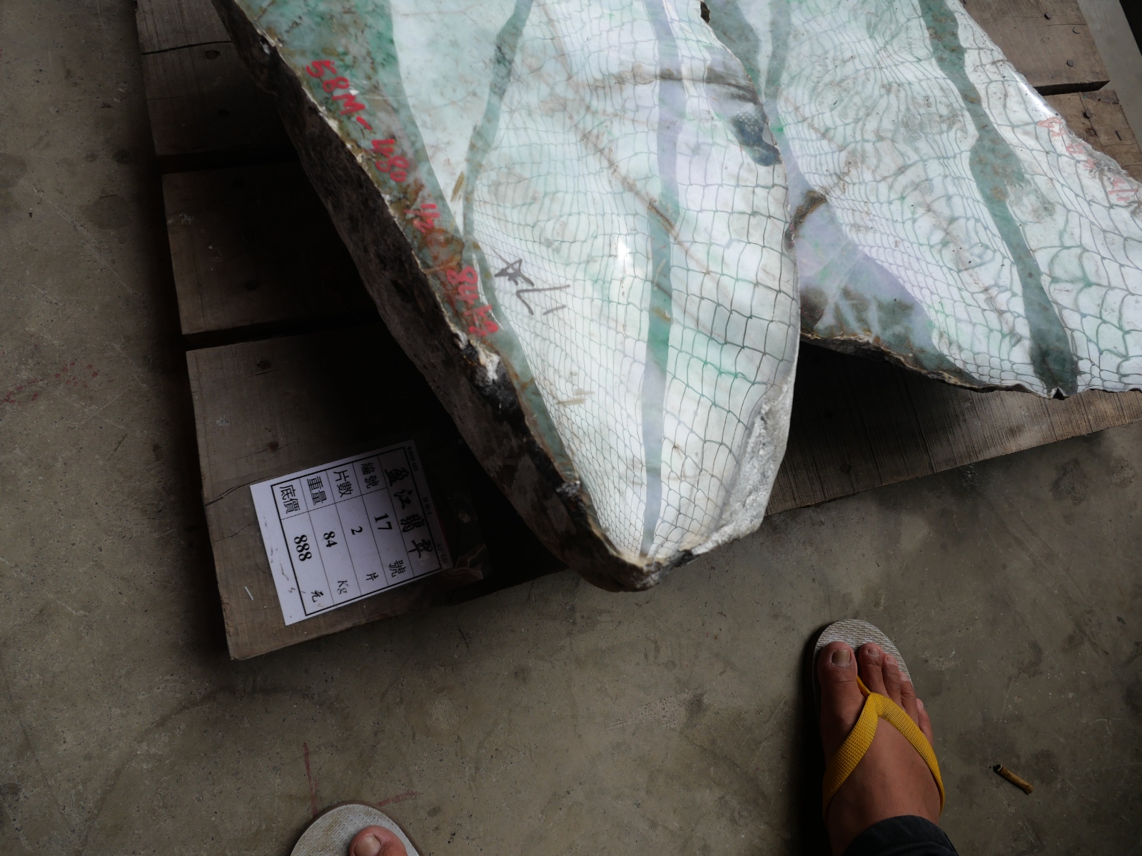 P1023948.JPG