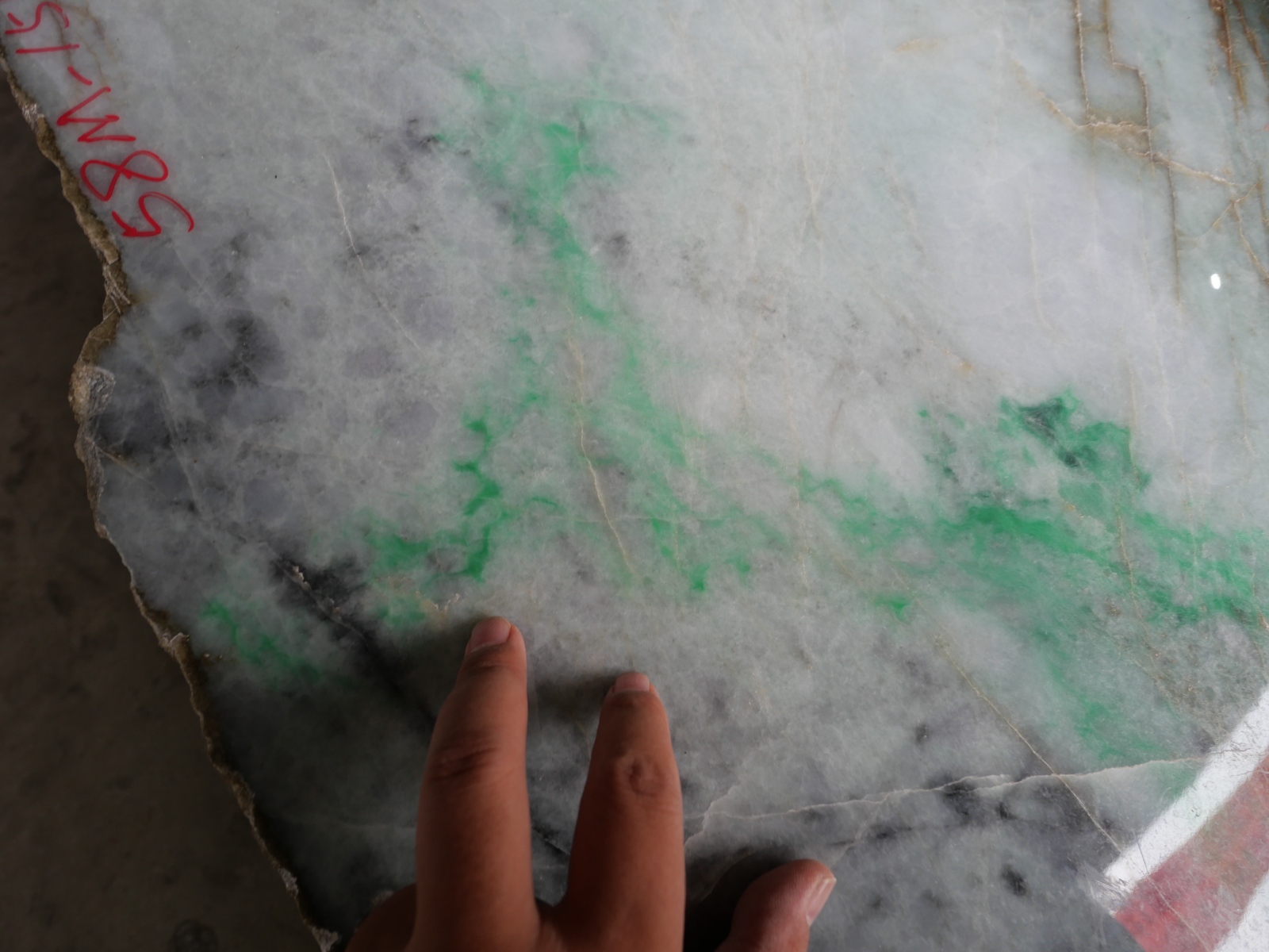 P1034817.JPG