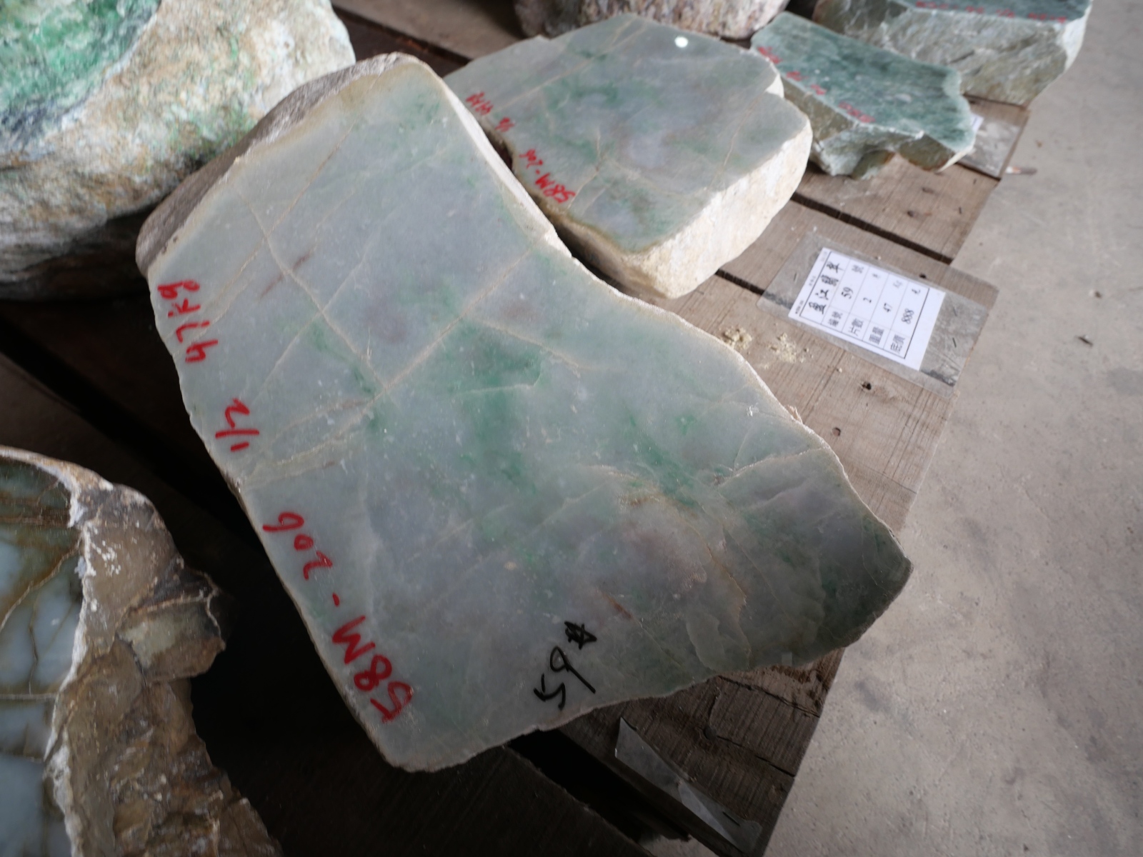 P1034832.JPG