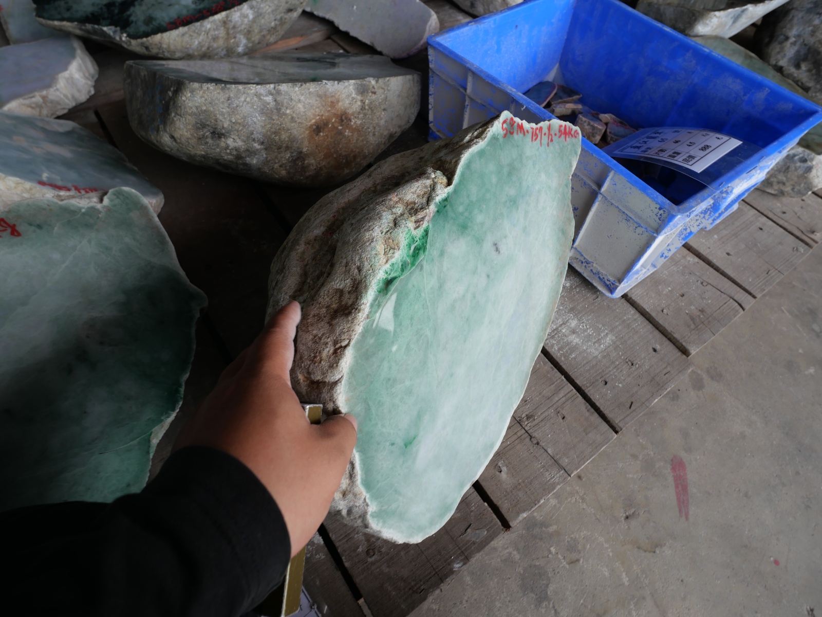 P1034875.JPG