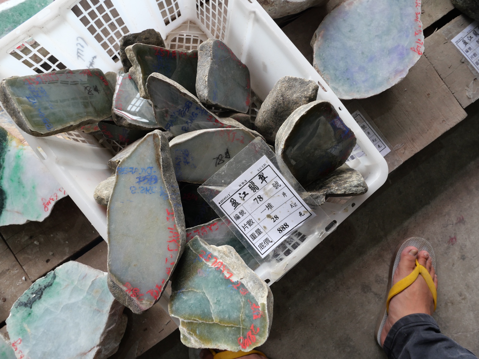 P1034443.JPG