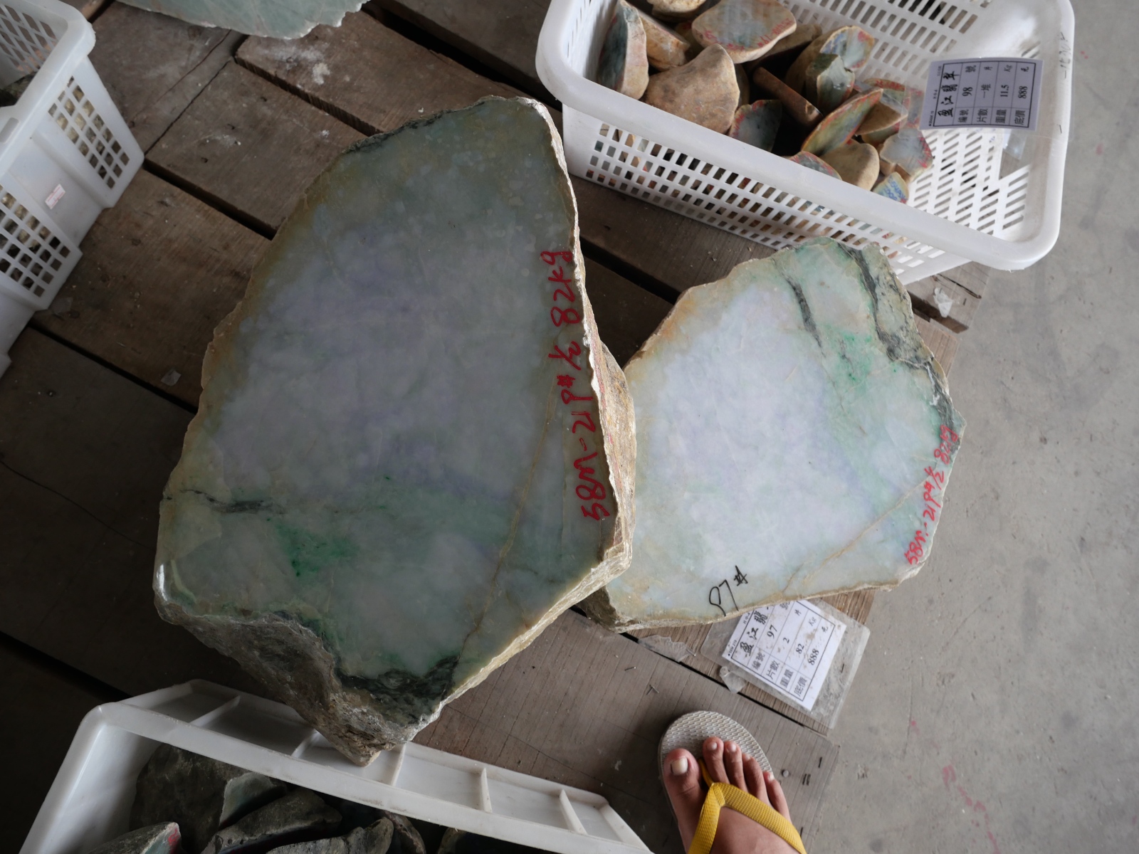 P1034993.JPG