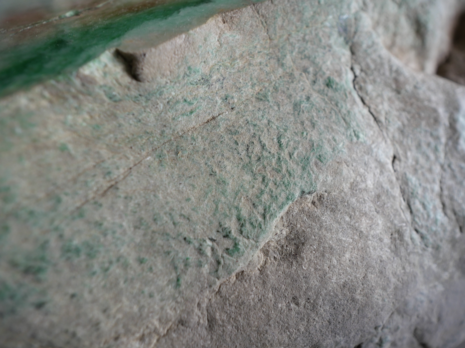 P1045329.JPG