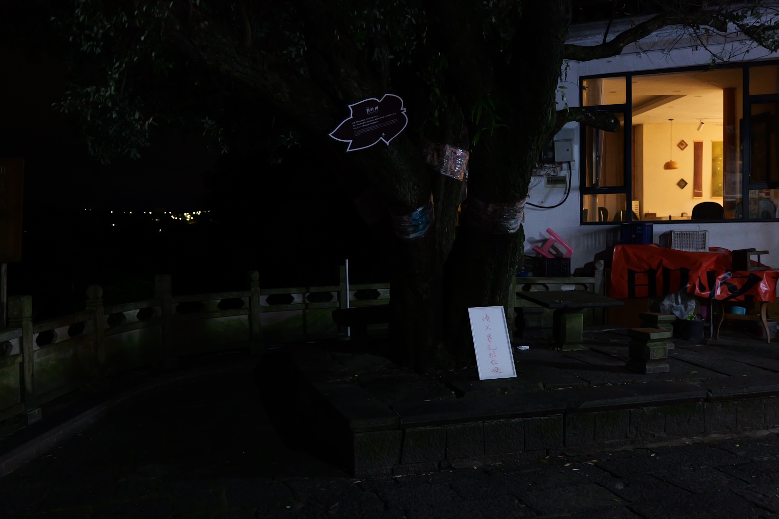 P1000513.JPG