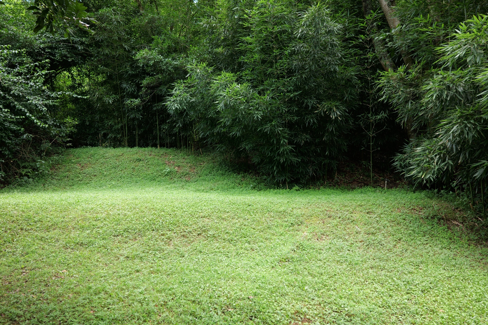 P1000554.JPG