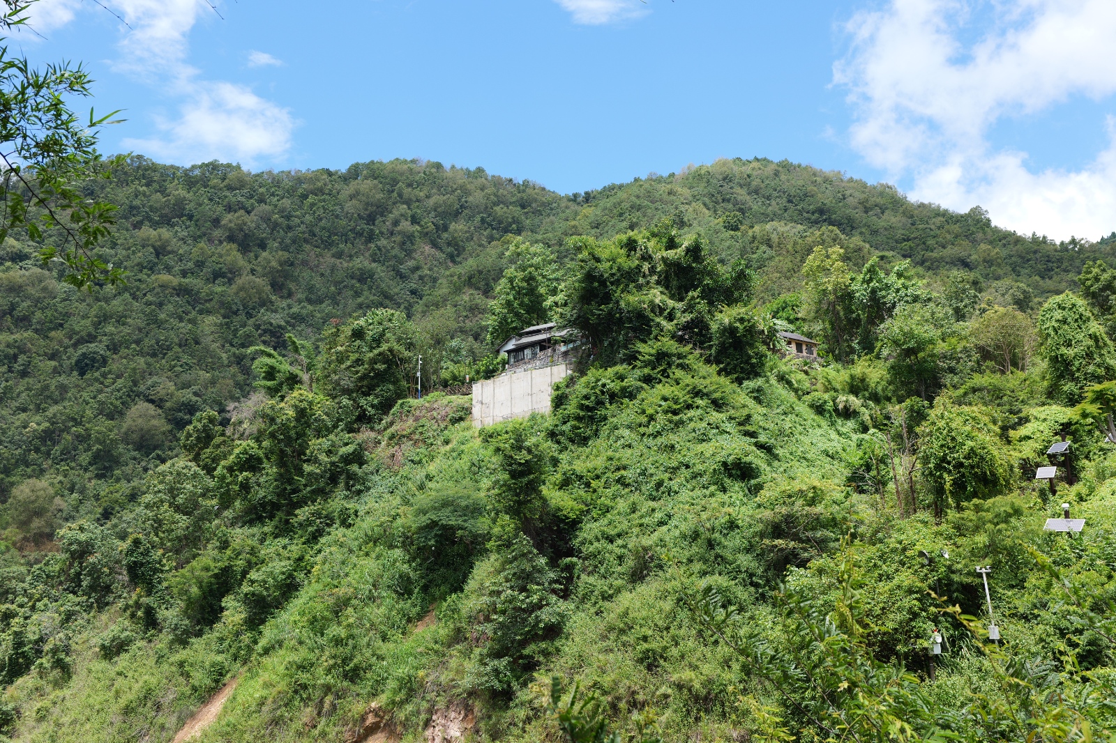 P1000561.JPG