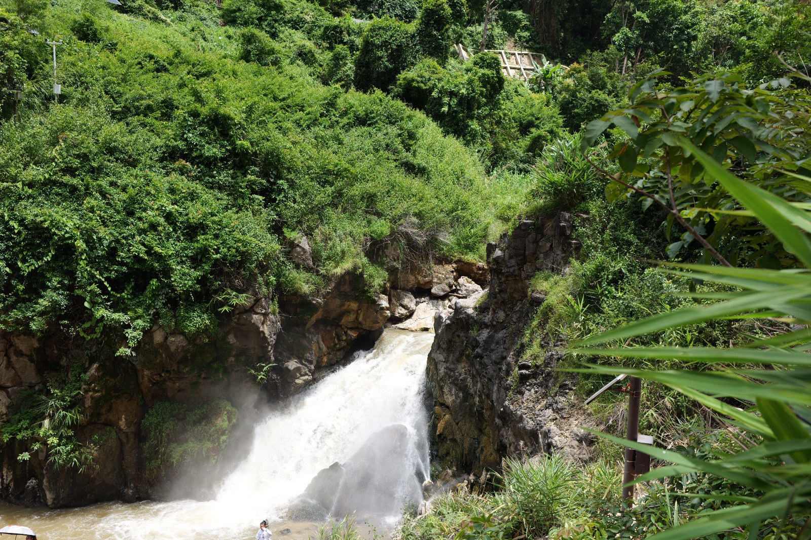 P1000563.JPG