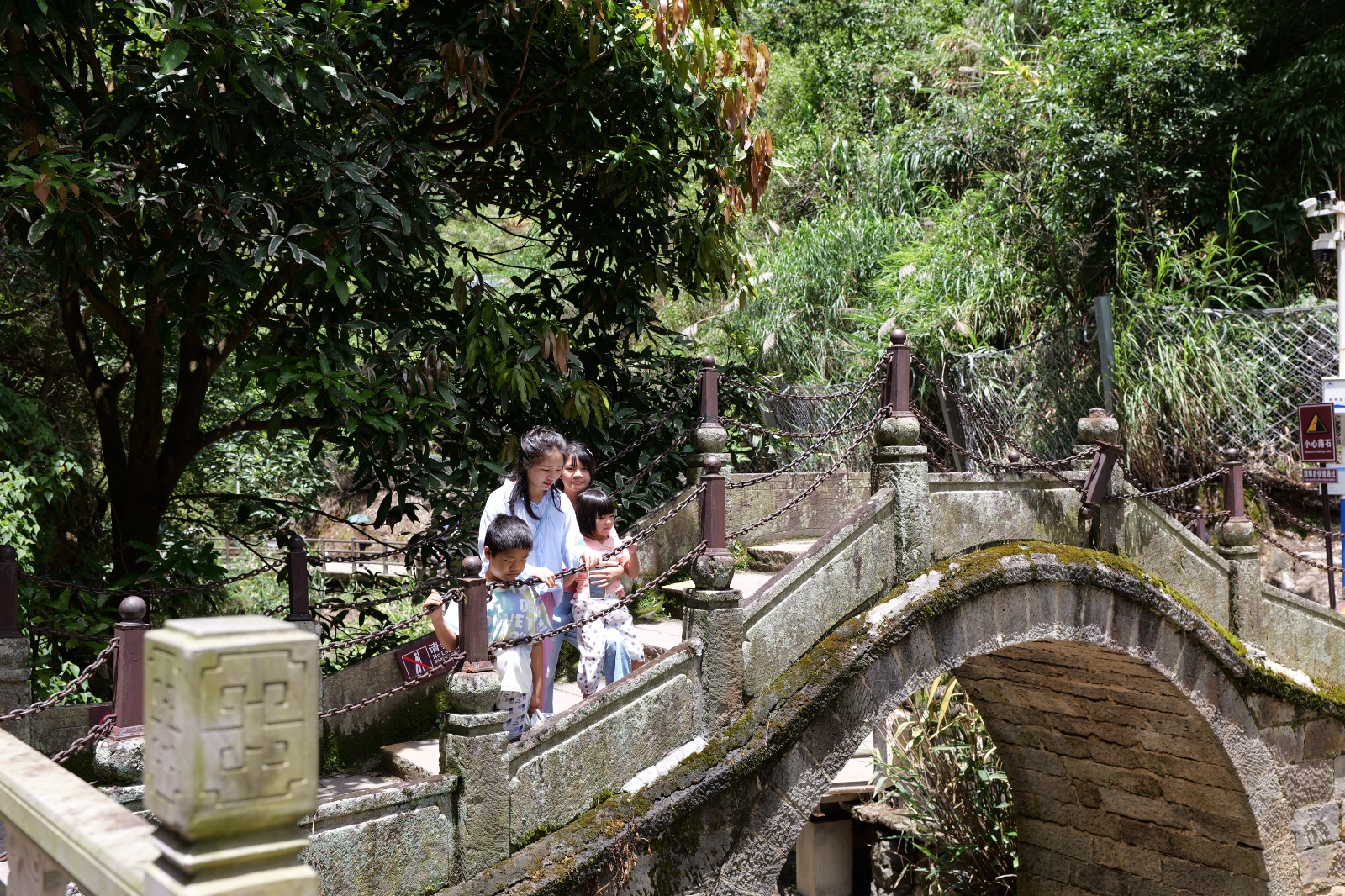 P1000590.JPG