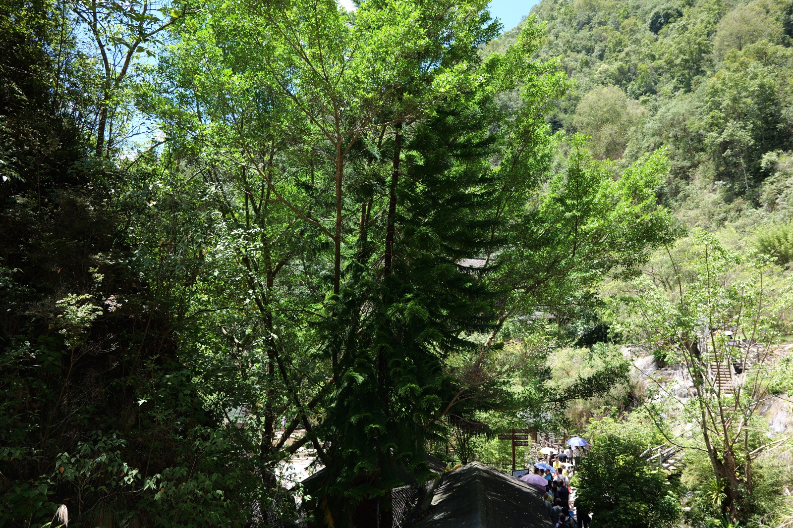 P1000611.JPG
